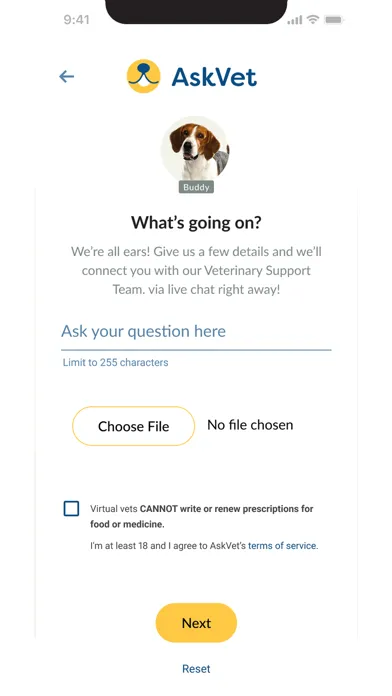 Скриншоты AskVet: Online Pet Care