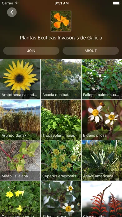 تصاویر Natusfera