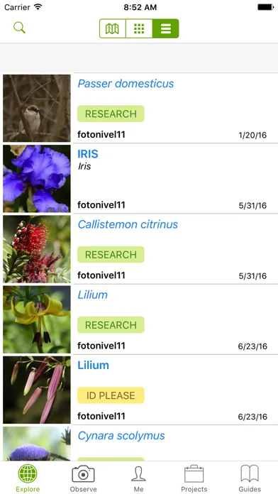 تصاویر Natusfera