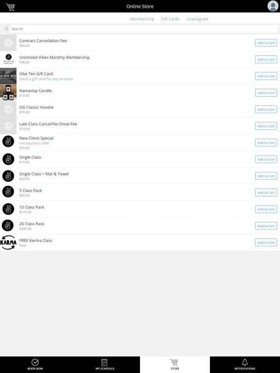 Tangkapan skrin Vibe Ten Studio iPad 
