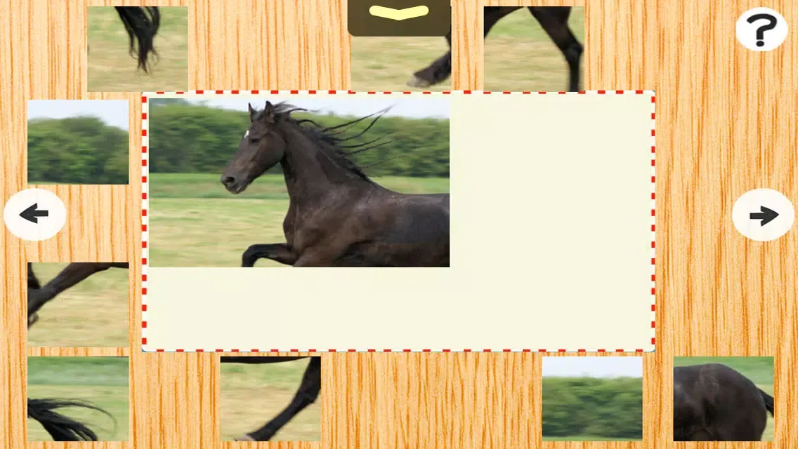 A Ponies Puzzle for Kids and Horse-s Man & Girl-s - Free Interactive Learn-ing Game-s سکرین شاٹس