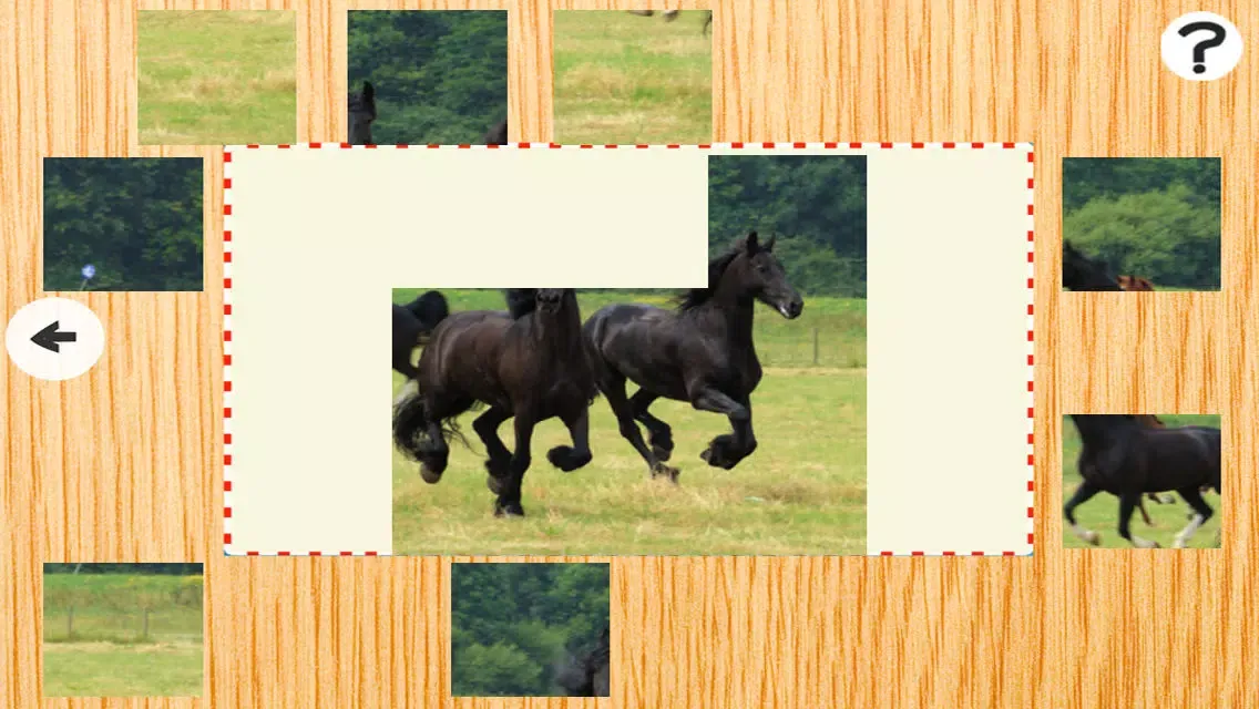 A Ponies Puzzle for Kids and Horse-s Man & Girl-s - Free Interactive Learn-ing Game-s سکرین شاٹس