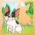 Animal Dog-s And Cute Puppies Puzzle Game For Babies and Young Kids: Spot The Shadow