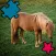 Animated Horse Puzzle For Kids and Babies: Pony Lovers Will Love This Free Educational Kids& Teen Game