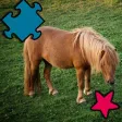 Animated Horse Puzzle For Kids and Babies: Pony Lovers Will Love This Free Educational Kids& Teen Game Animated Horse Puzzle For Kids and Babies: Pony Lovers Will Love This Free Educational Kids& Teen Game