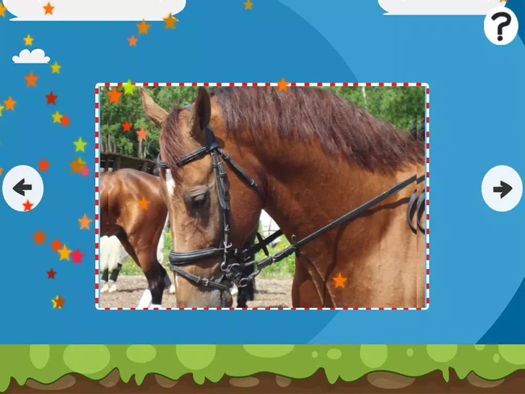 Ảnh chụp màn hình của A Puzzle With Horses and Ponies - Free Interactive Game For Kids Learn Logical Thinking with Fun iPad 