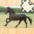 Animated Animal Puzzle With Ponies and Running Horses For Kids and Riding Lovers – Free Interactive Game To Learn Logical Thinking with Fun! Great Kids Game For Free