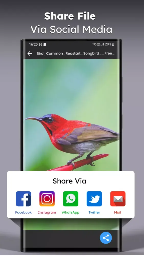 Video Downloader 스크린샷
