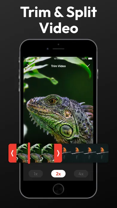 Скриншоты Video Speed Editor & Changer