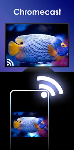 Video Player HD Screenshots