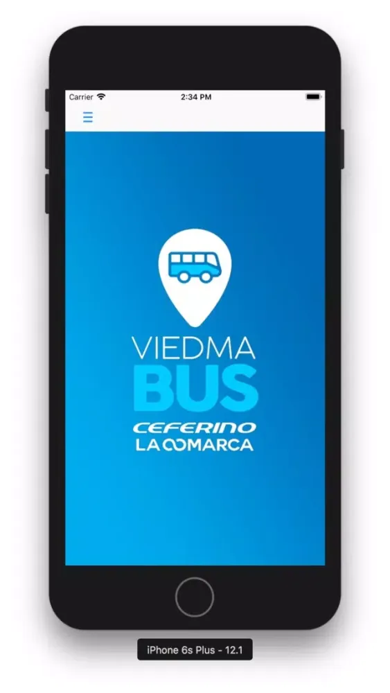 Viedma Bus应用截图