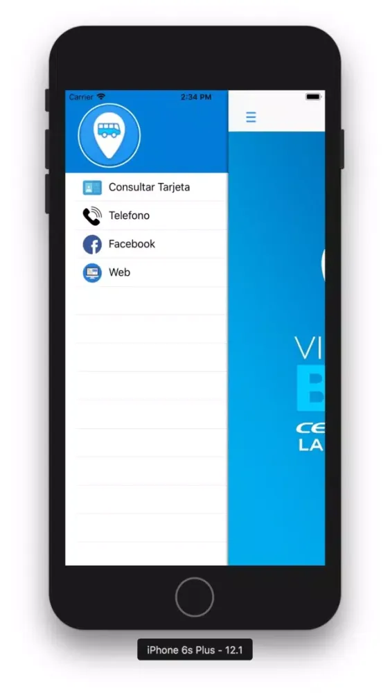 Viedma Bus应用截图
