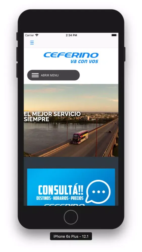 Viedma Bus应用截图