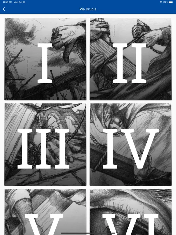 VitaminaV iPad 应用截图