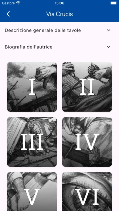 VitaminaV应用截图