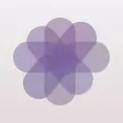 Vivid - Snap Filters Vivid - Snap Filters