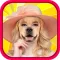 Animal Face Photo Sticker Booth - Morph and Change your image with Animals Head Emoji