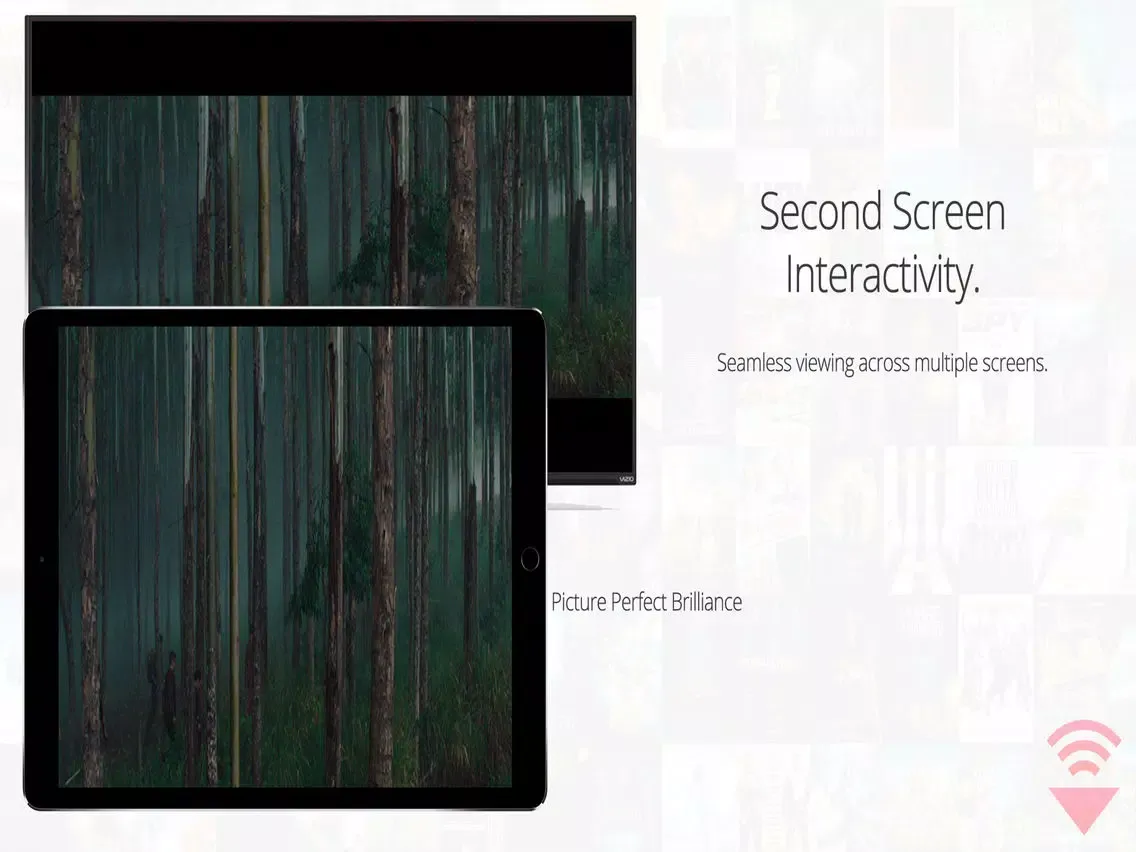Mirror for Vizio Unofficial iPad  Screenshots