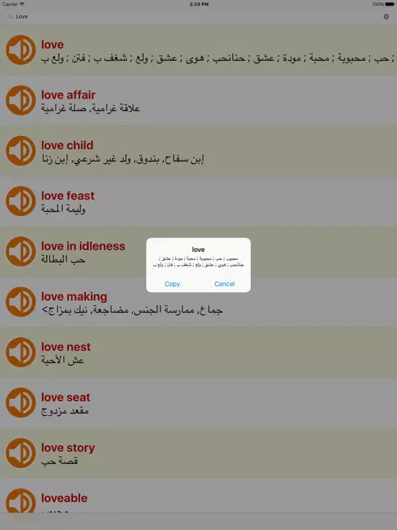 Скриншоты English Arabic Dictionary Offline Free For IPad iPad 