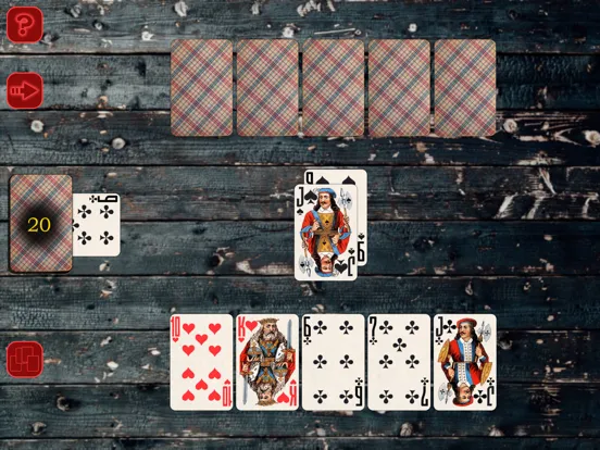 صور Durak throw, passing, epaulets iPad 