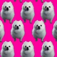 Total Bork 2K17 War