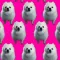 Total Bork 2K17 War