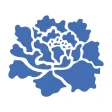 Bloom Spa Japanese