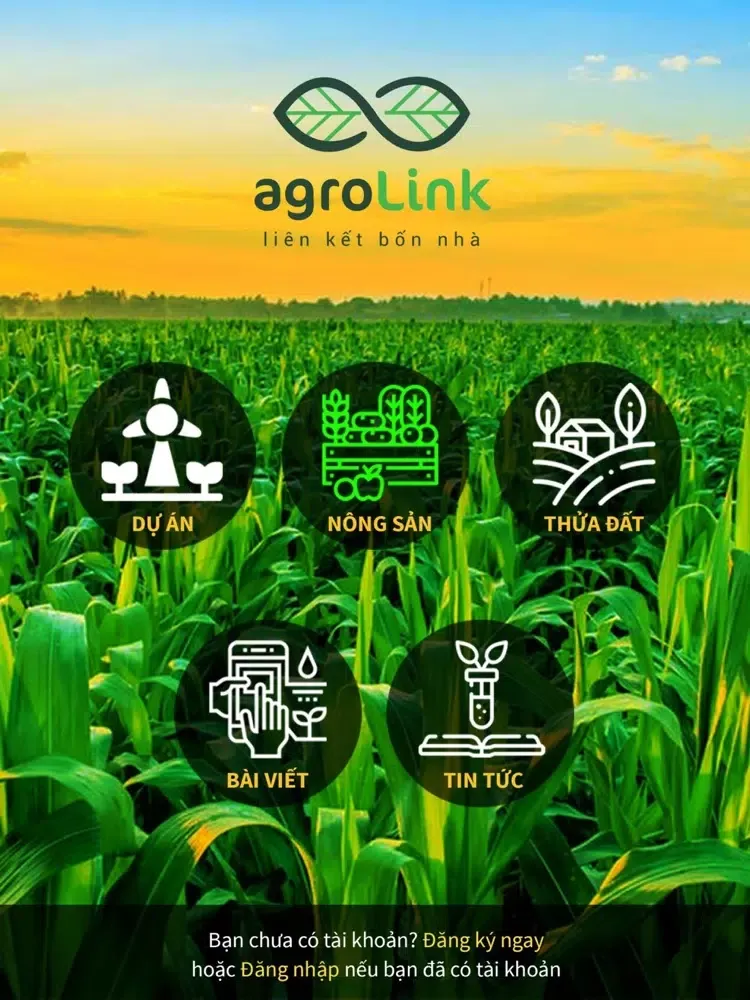 صور agroLink iPad 