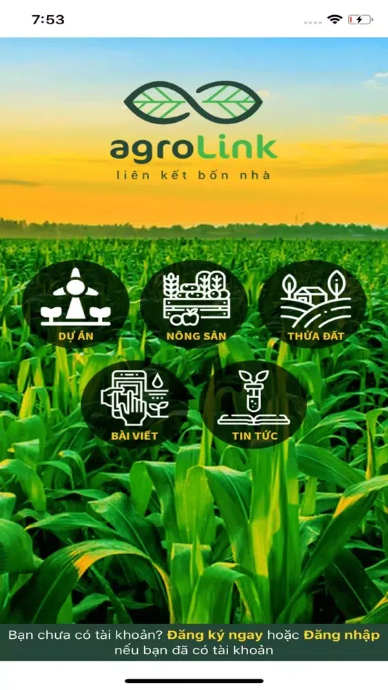 صور agroLink