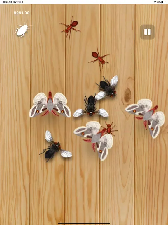 Insect Killer iPad 應用截圖