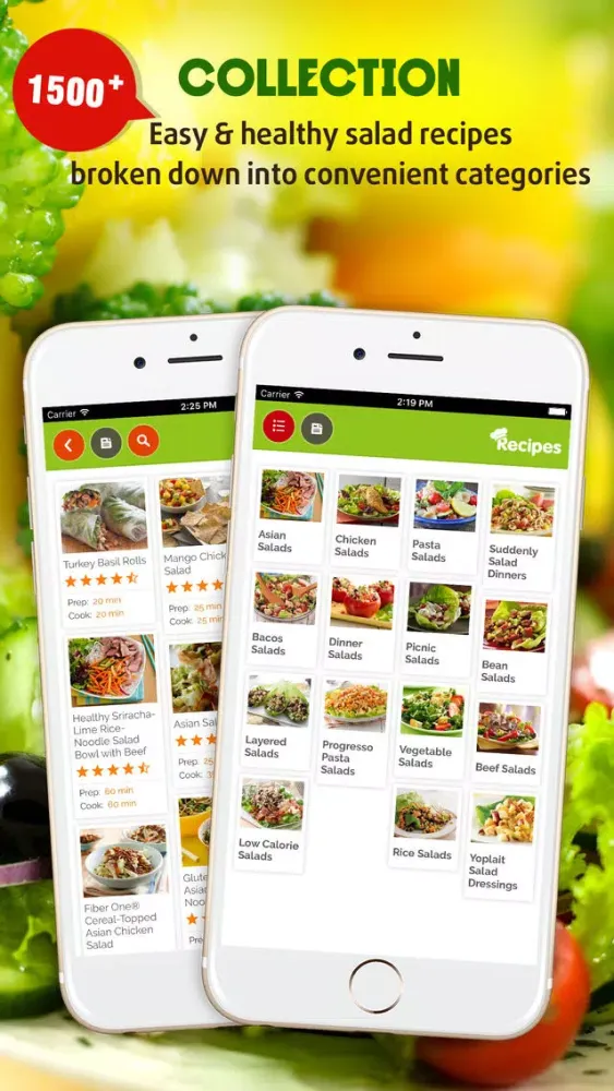 Salad Recipes ~ The Best Easy & Healthy Salad Recipes Screenshots