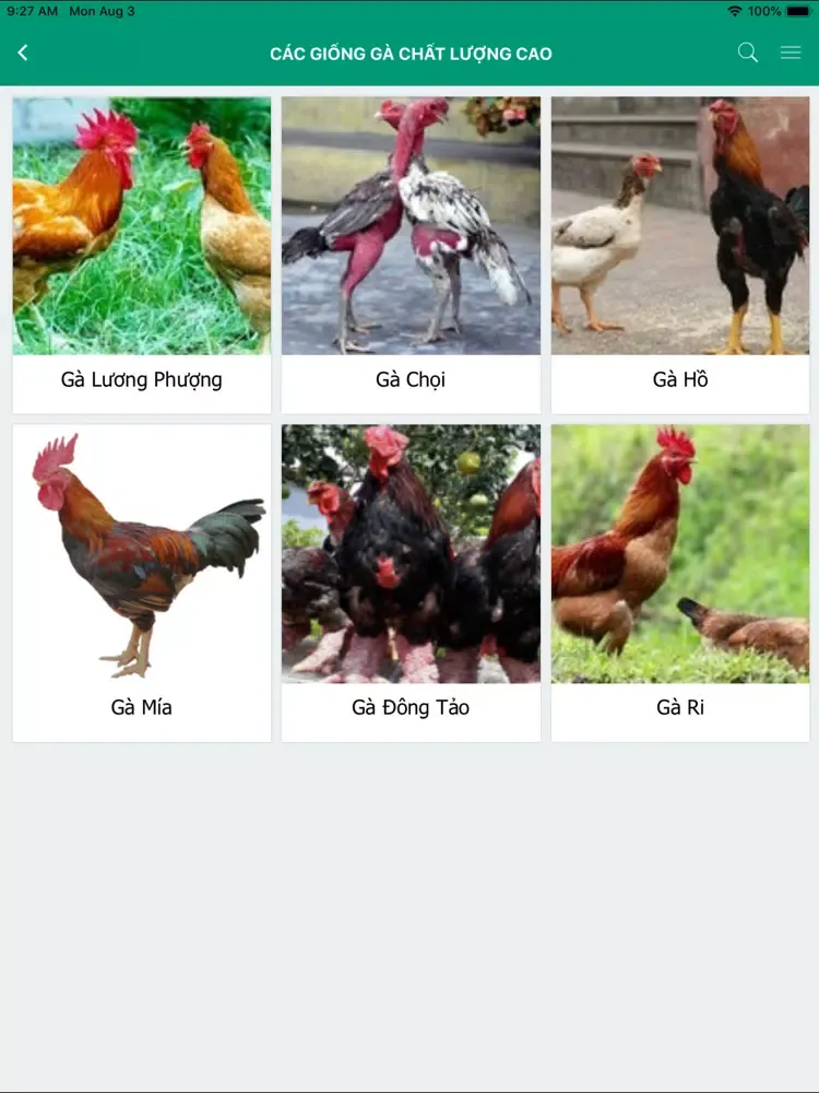 Zrzuty ekranu Nuoi Ga iPad 