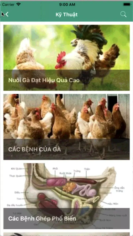 Zrzuty ekranu Nuoi Ga