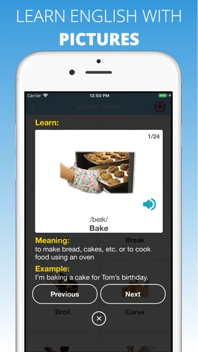 Capturas de pantalla de English Vocabulary by Topics