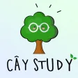 Cây Study Cây Study