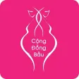 Cong Dong Bau