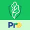 Saladin Pro - CTV Bảo hiểm