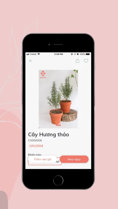 SAKURA FLOWER - Đặt hoa online应用截图