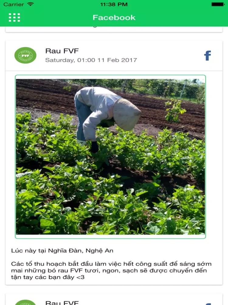 تصاویر Rau FVF iPad 