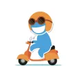 Tiki Driver