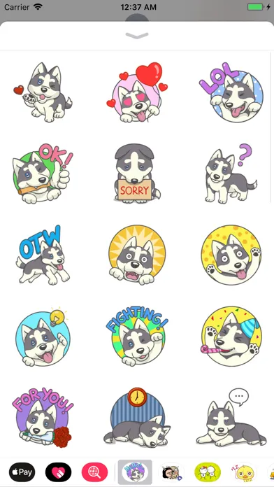 Husky Dog Stickers應用截圖