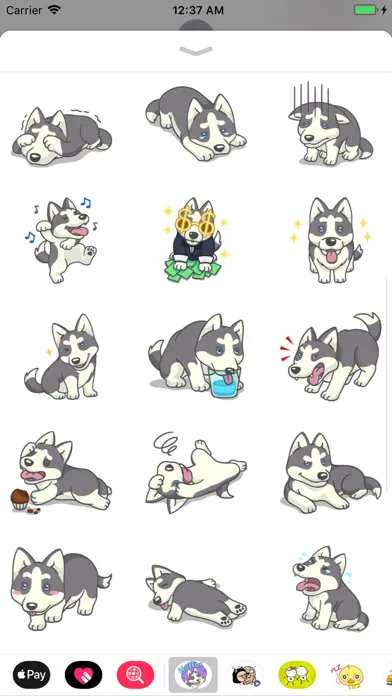 Husky Dog Stickers應用截圖