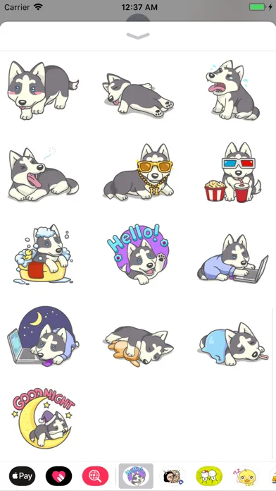 Husky Dog Stickers應用截圖