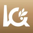 Môi trường VICEM