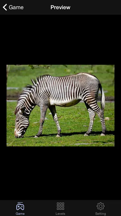 Tangkapan layar Jigsaw Animal