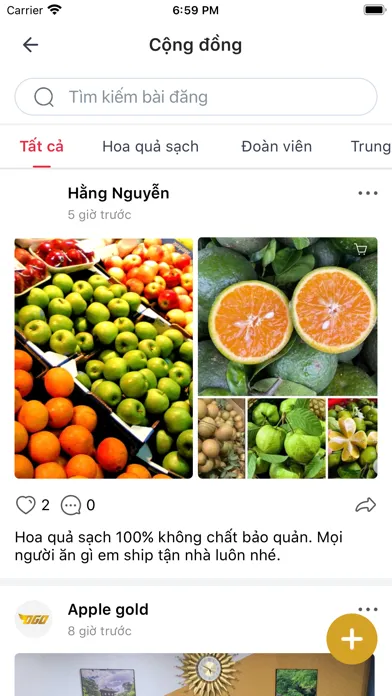 Tangkapan layar OgoLive