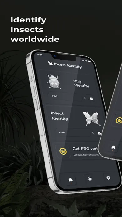 تصاویر Bugy - Bug ID