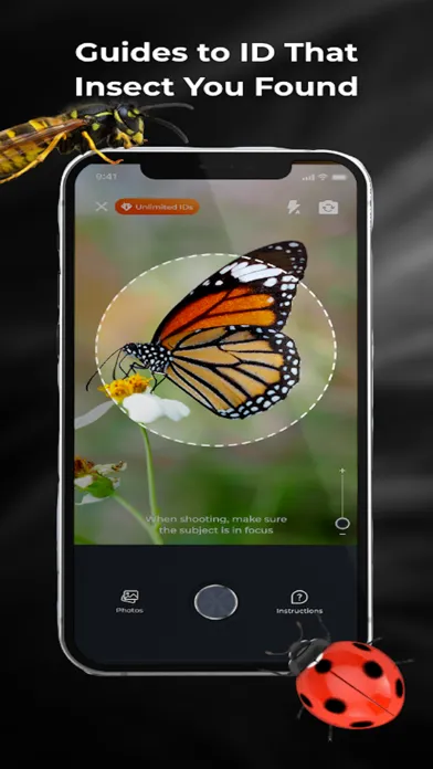 تصاویر Bugy - Bug ID