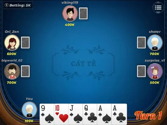 Catte Offline iPad  Ekran Görüntüleri