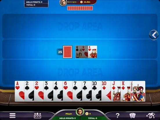 Tangkapan skrin Rummy 500 - Card Game iPad 